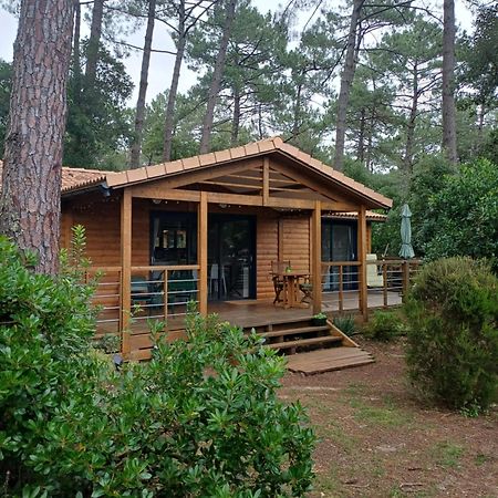 Chalet La Lande Ondres Esterno foto